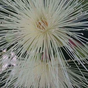 Meet your Posher, Alejandra